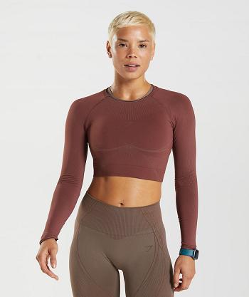 Corp Tops Gymshark Apex Seamless Mujer Rosas Marrones Marrones | CO 2438OKI